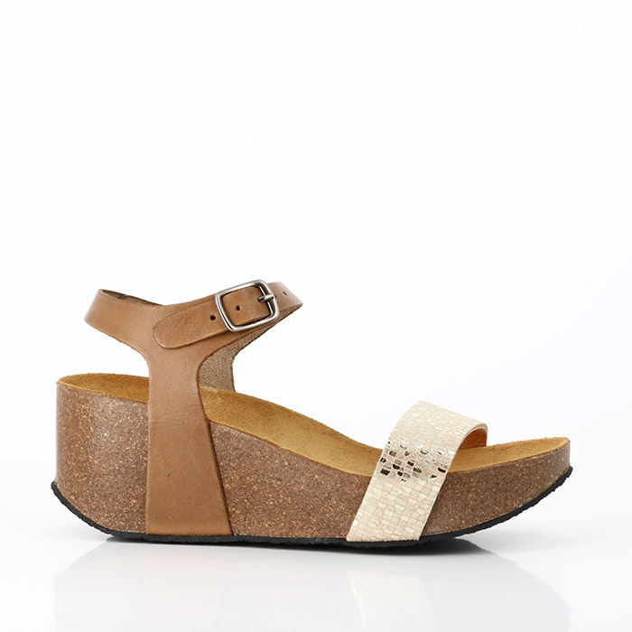 Plakton camel discount