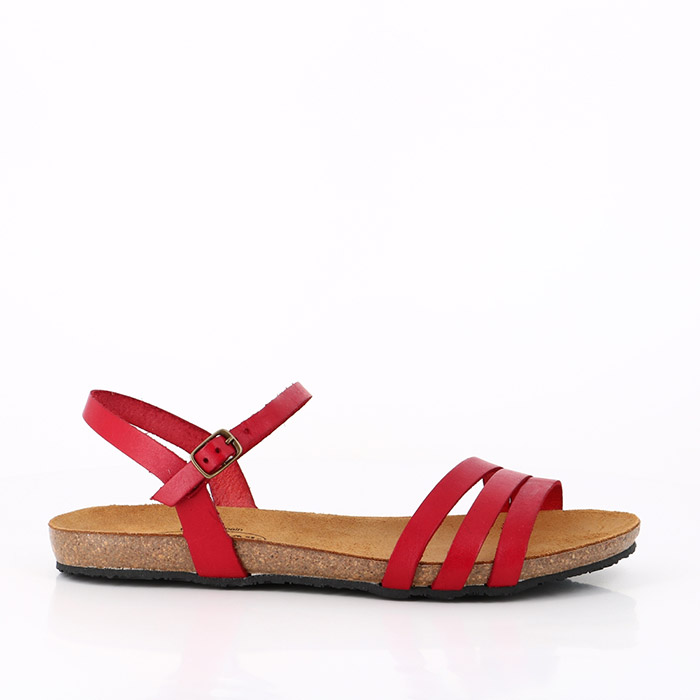 Plakton rouge store