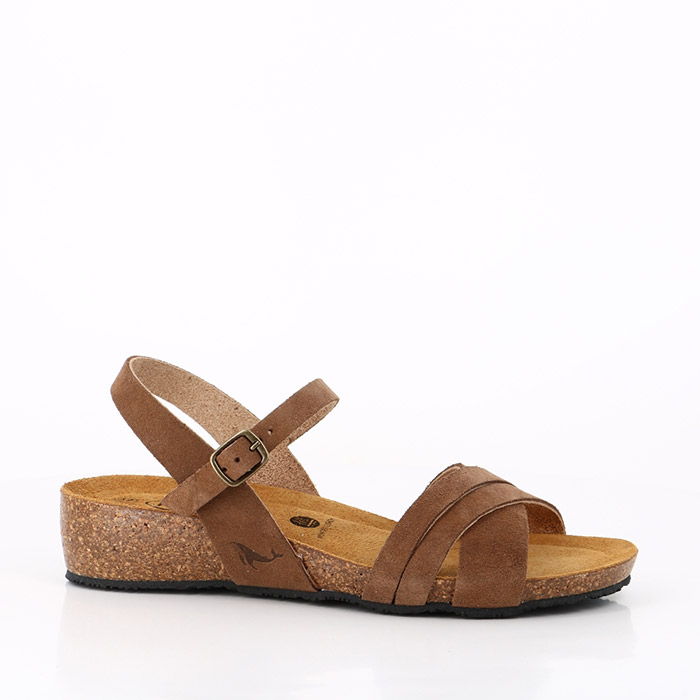 Plakton chaussures plakton norte afelpado vision 213 marron