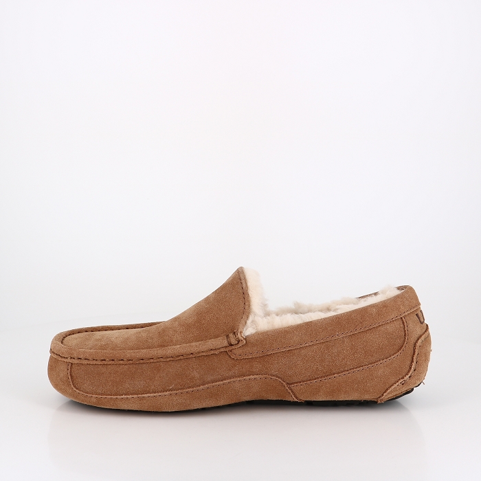 Nice Shoes Ugg ugg chaussons homme ascot chestnut marron